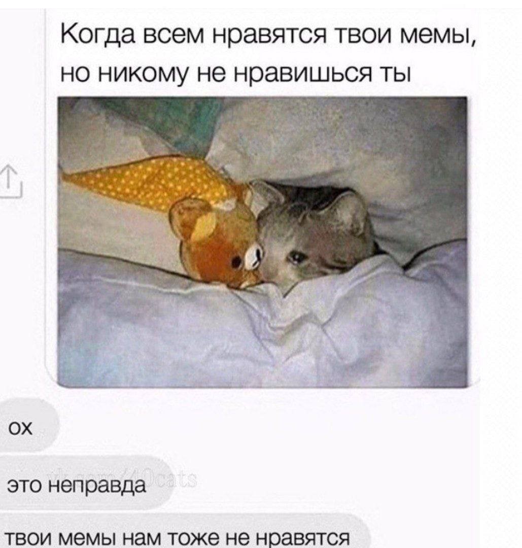 Когда всем нравятся твои мемы, но никому не нравишься ты это неправда твои мемы нам тоже не нравятся