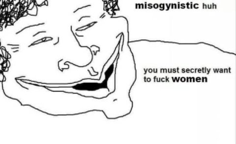 misogynistic huh you must secretly want to fuck women