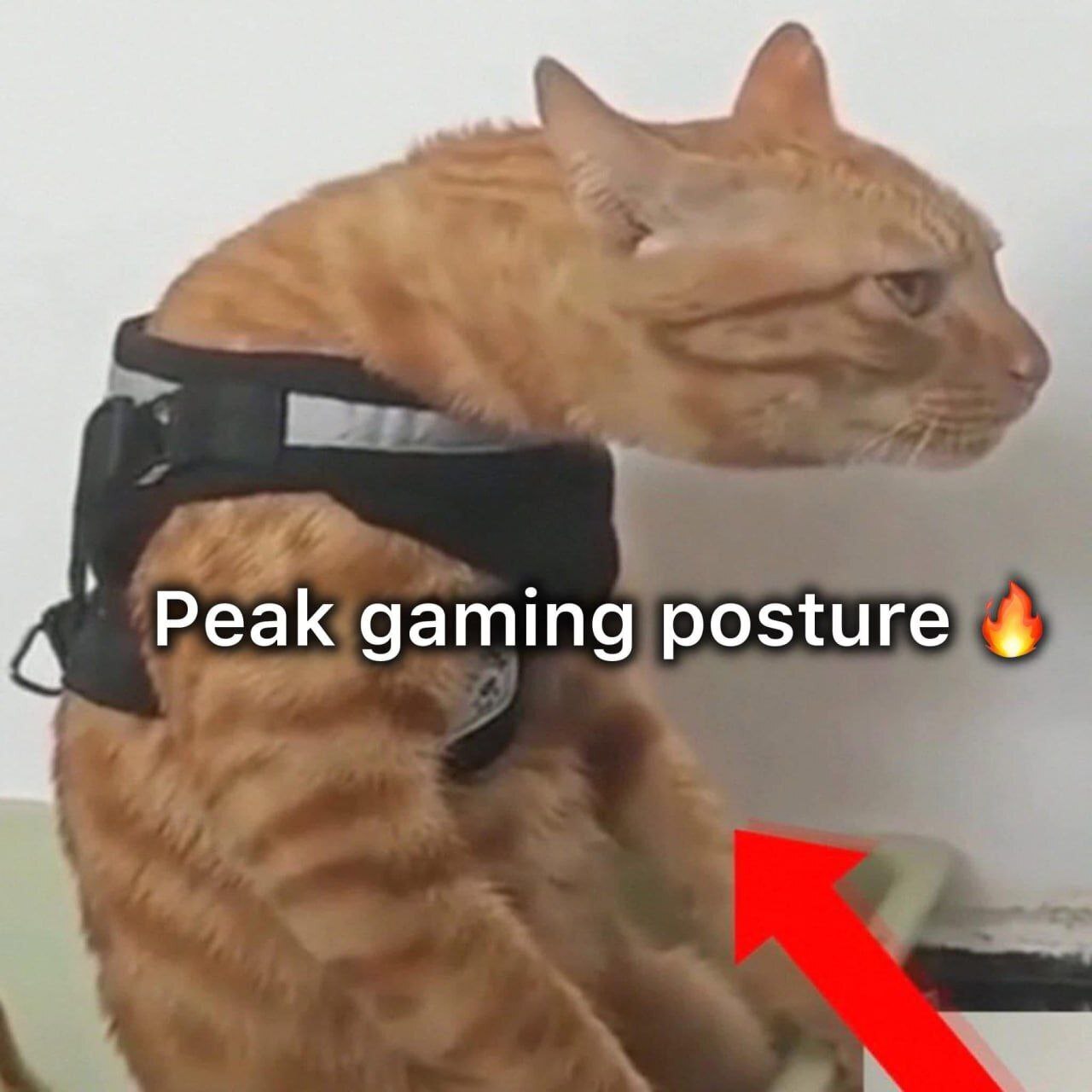 Peak gaming posture