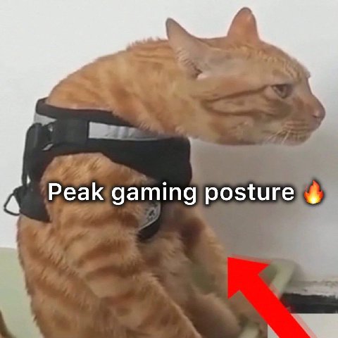 Peak gaming posture