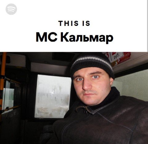 THIS IS Кальмар