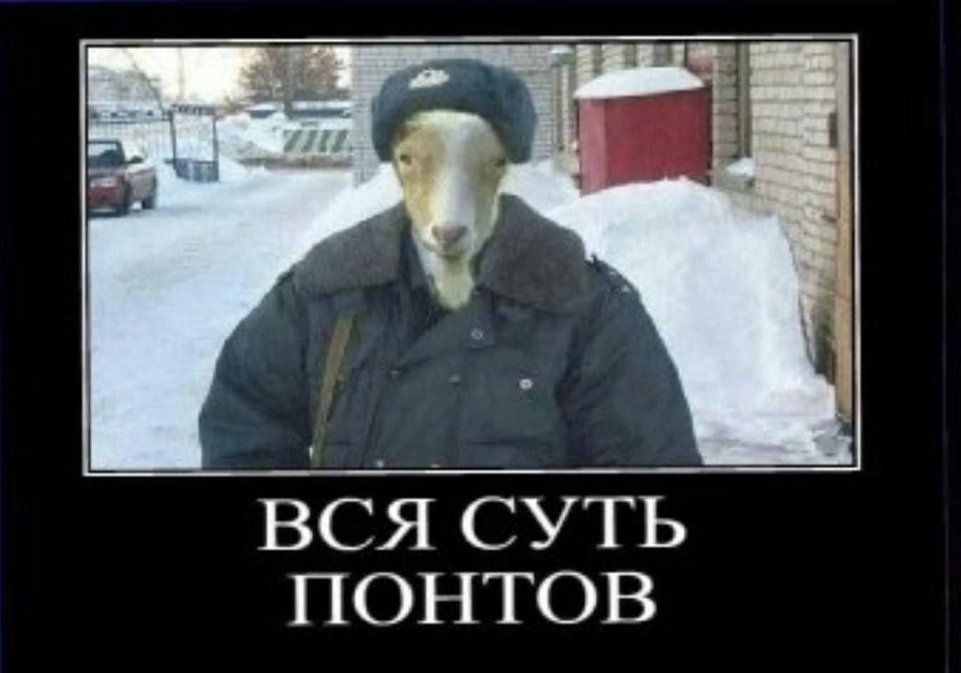 ВСЯ СУТЬ ПОНТОВ