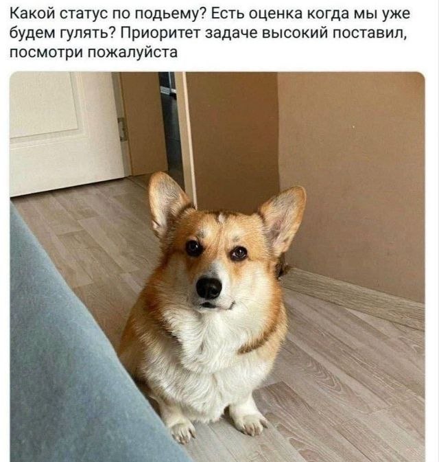 Какой статус по подьему? Есть оценка когда мы уже будем гулять? Приоритет задаче высокий поставил, посмотри пожалуйста