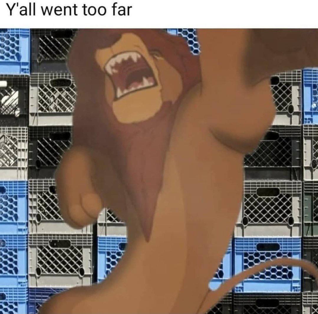 Y'all went too far