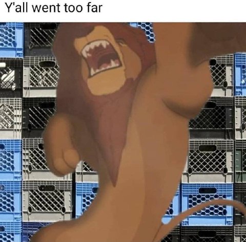 Y'all went too far
