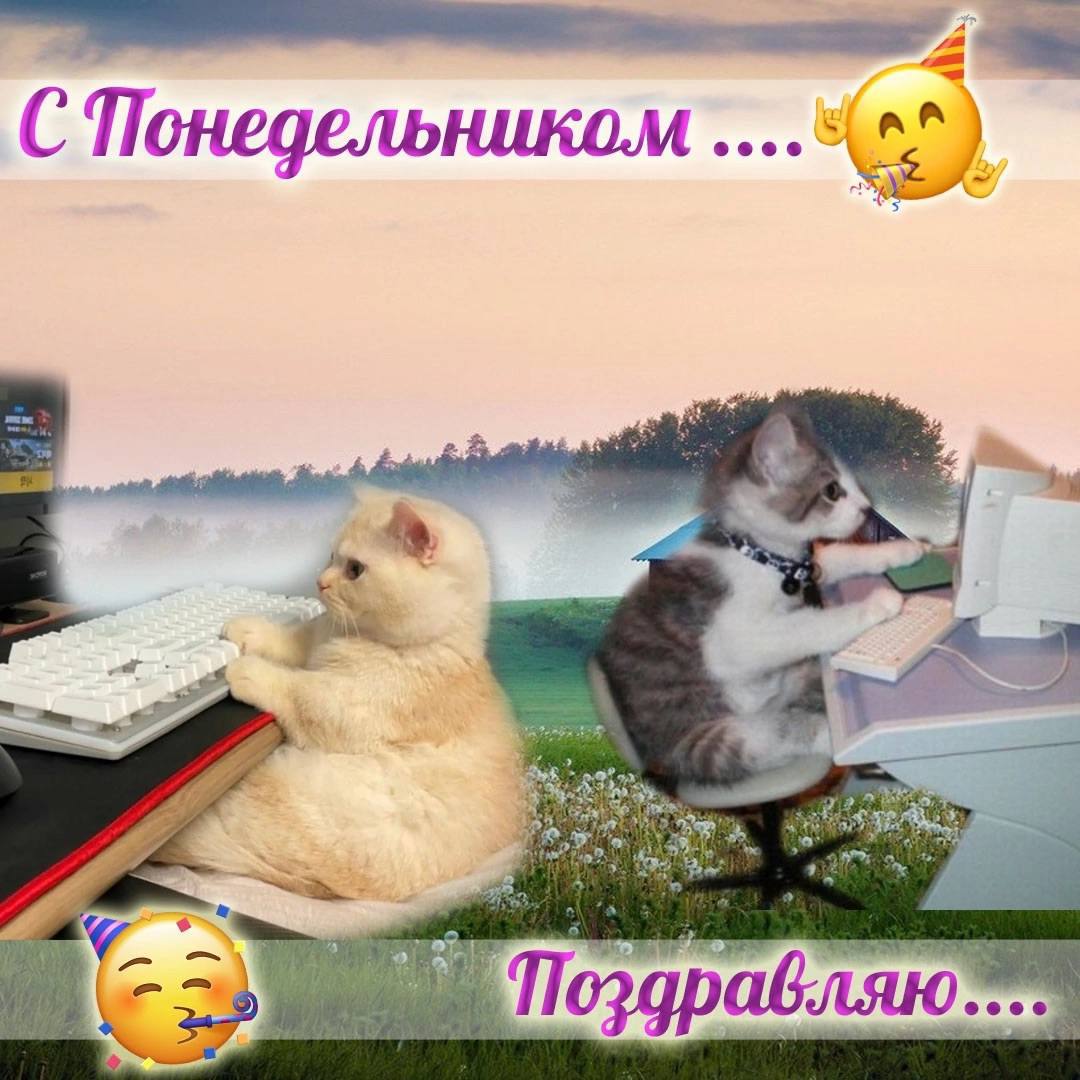 a С Понедельником а Поздравляю