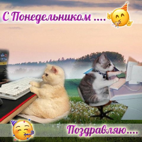 a С Понедельником а Поздравляю