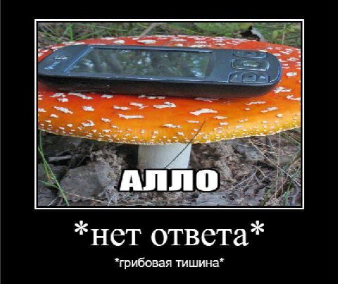4 АЛЛО *нет ответа* *грибовая тишина*