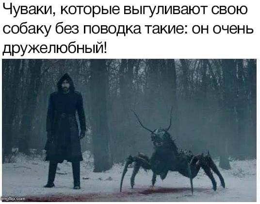 Чуваки, которые выгуливают свою собаку без поводка такие: он очень дружелюбный!