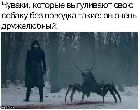 Чуваки, которые выгуливают свою собаку без поводка такие: он очень дружелюбный!