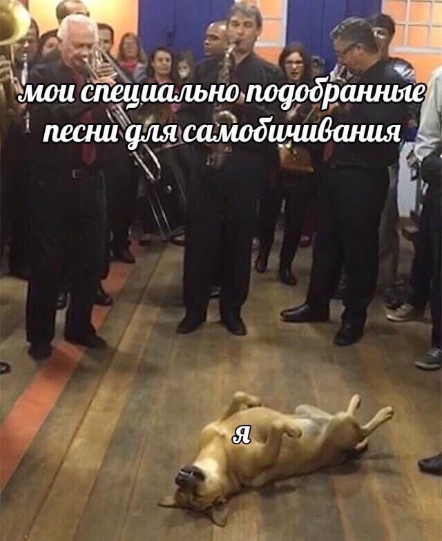 специально песни для самобичивания