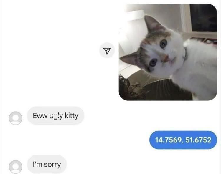 Eww kitty sorry
