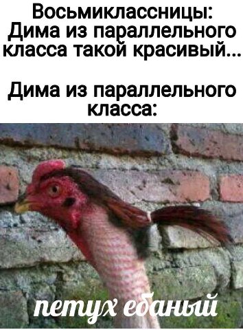 Восьмиклассницы: Дима из параллельного класса такой красивый... Дима из параллельного класса: