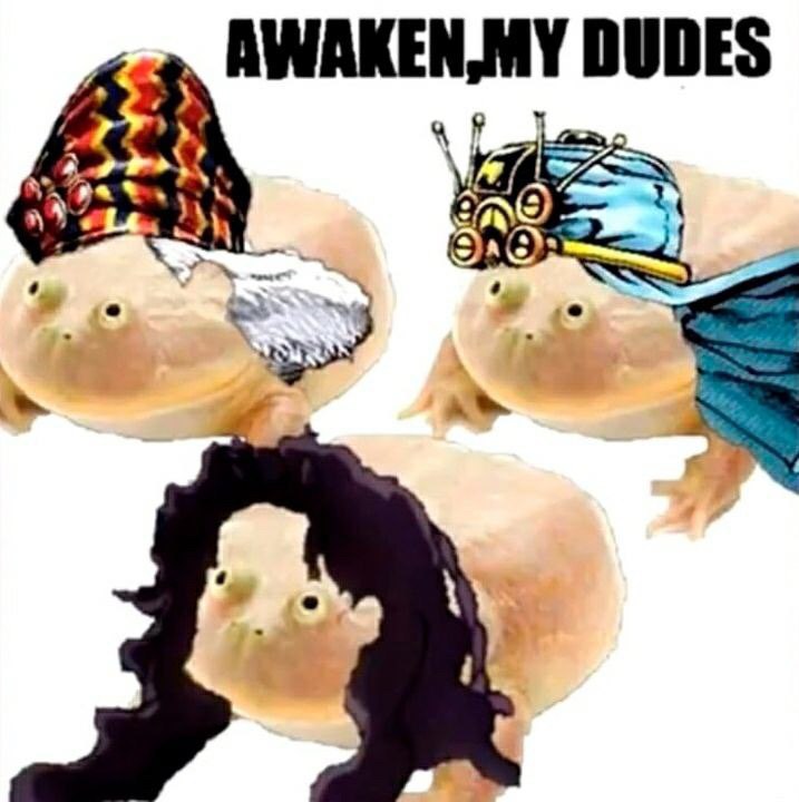 coq, DUDES ‘a
