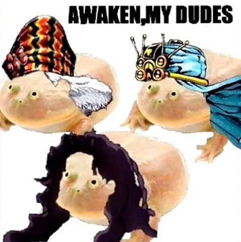 coq, DUDES ‘a