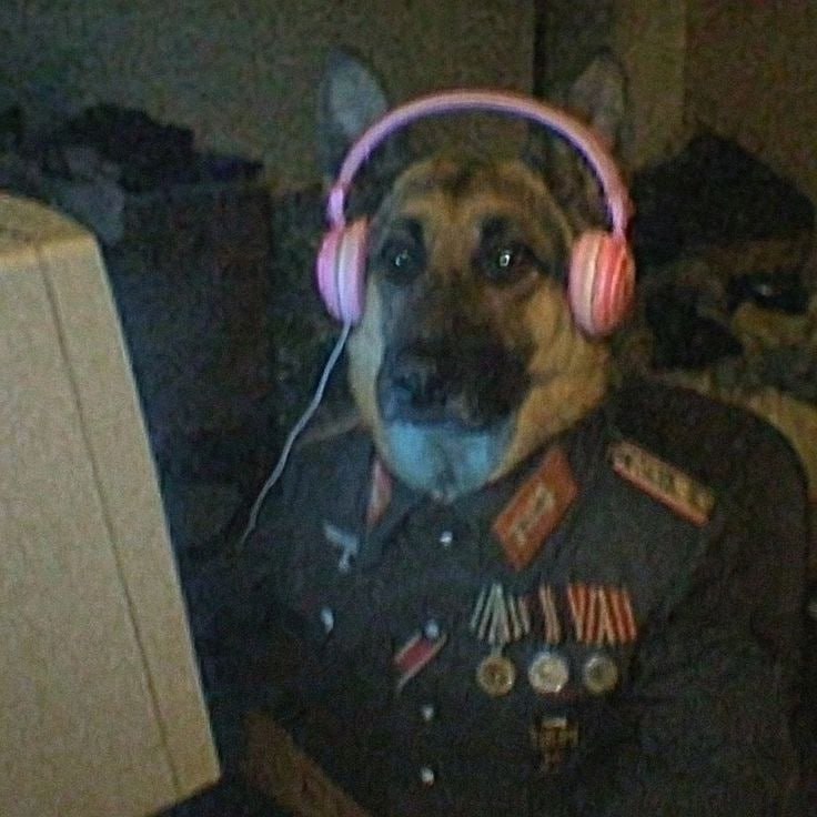 и