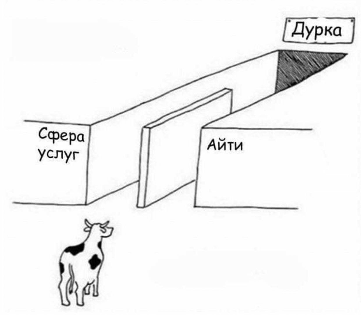 [Дурка Сфера Айти услуг