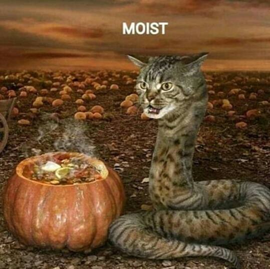 MOIST