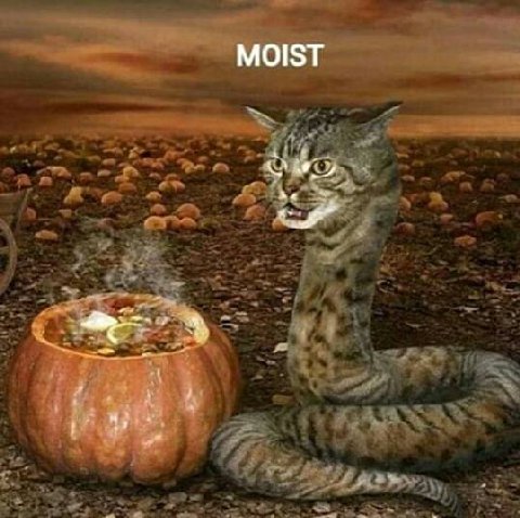MOIST