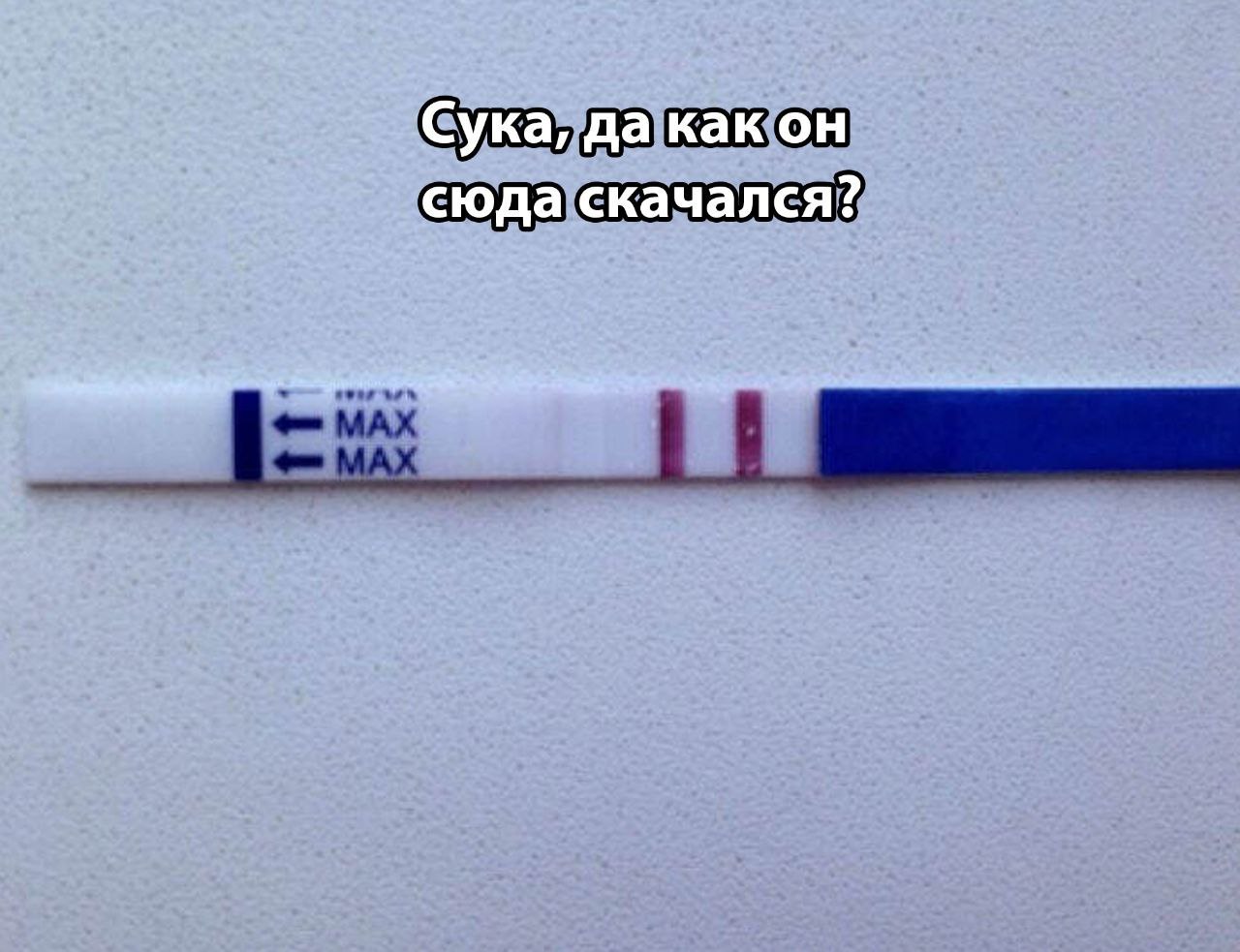 Сука, да как он сюда скачался?