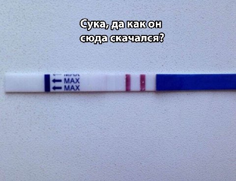 Сука, да как он сюда скачался?