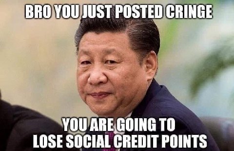 BRO YOU JUST POSTED CRINGE YOU TO LOSE SOCIAL CREDIT POINTS