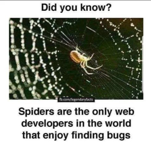 Did you know? 7 у Spiders are the only web developers in the world that enjoy finding bugs