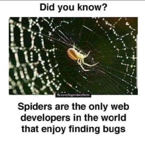 Did you know? 7 у Spiders are the only web developers in the world that enjoy finding bugs