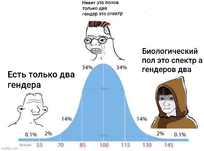 Нееет это полов только два гендер это спектр THD Биологический пол это спектра 34% 34% гендеров два Есть только два гендера 14% 14% 0.1% 2% 2% 0.1% 55 70 85 100 115 130 145