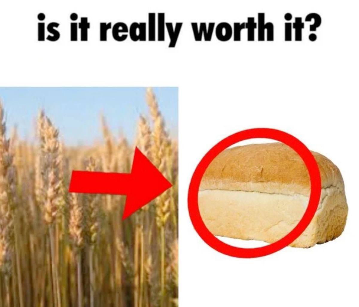 is it really worth it?
