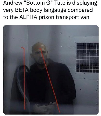 Andrew "Bottom С" Tate is displaying very BETA body langauge compared to the ALPHA prison transport van