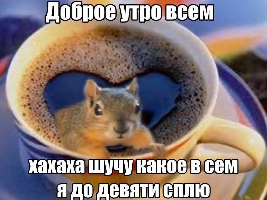 Доброе утро всем Хахаха шучу в CEM Я до девяти сплю