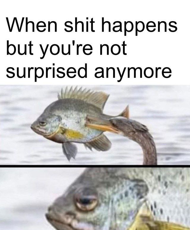 When shit happens but you're not surprised anymore Wit 7