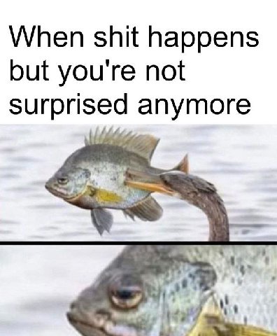 When shit happens but you're not surprised anymore Wit 7