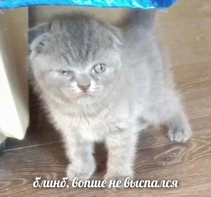 a, А it бопше не