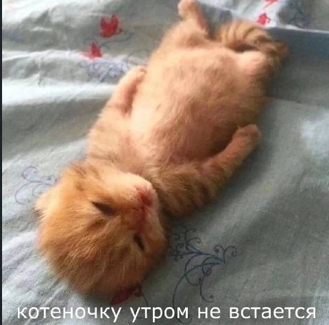утром не встается