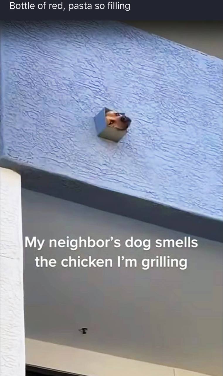 Bottle of red, pasta so filling My neighbor’s dog smells the chicken grilling