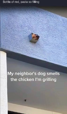 Bottle of red, pasta so filling My neighbor’s dog smells the chicken grilling