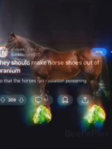 о that the horses radiation