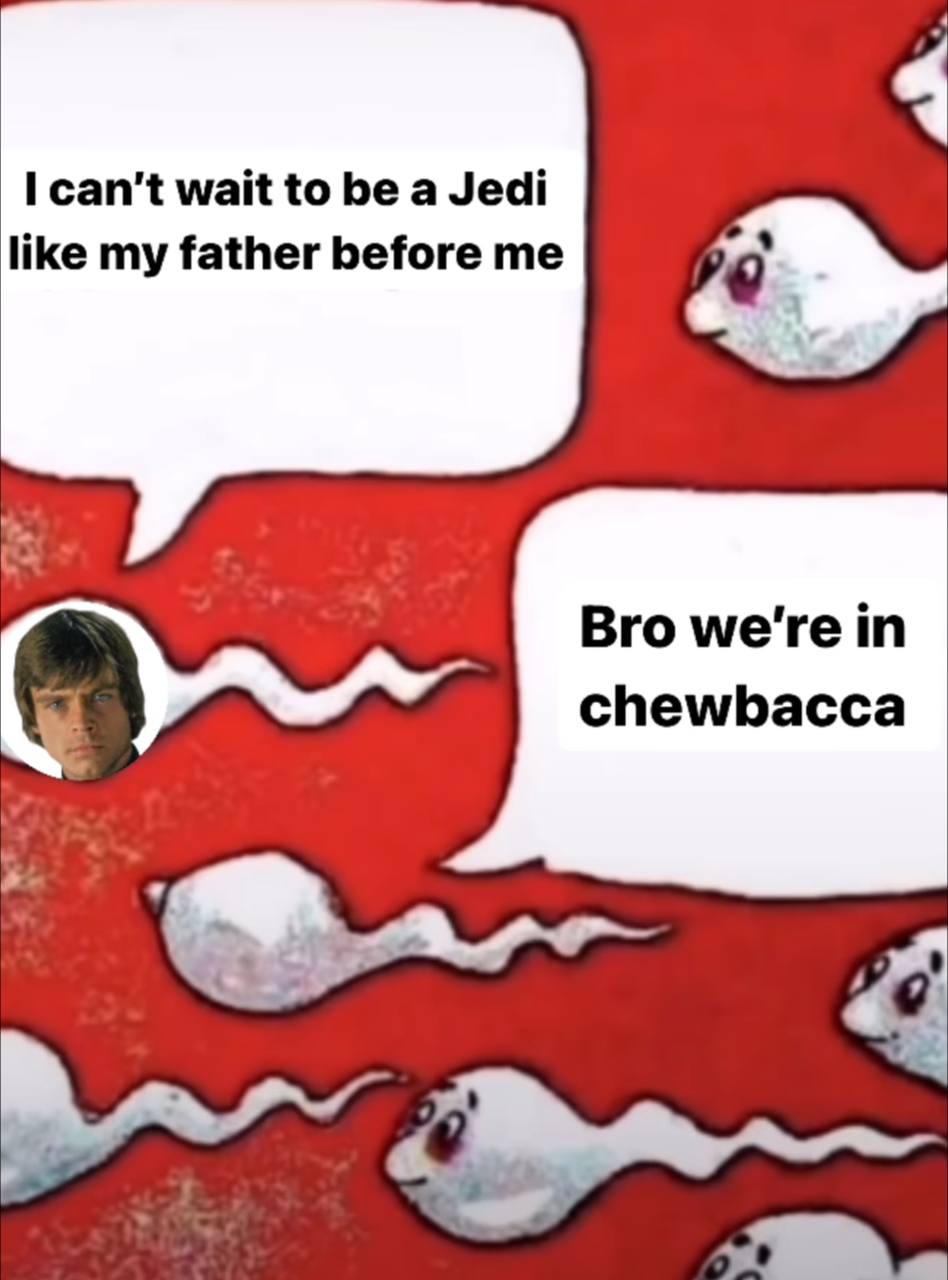 can't wait to be a Jedi like my father before me Bro we're in chewbacca
