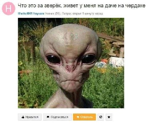 Что это за зверёк. живет у меня на даче на чердаке 4 Hhohol001 huyvam Ученик (95), Вопрос открыт 1 минуту назад Нравится Подписаться