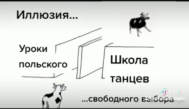 польского | Школа im $ ...свободного выбора ..свободного Е-:бора