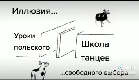 польского | Школа im $ ...свободного выбора ..свободного Е-:бора