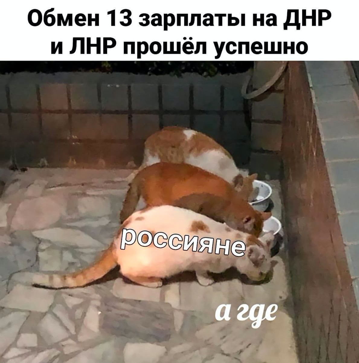 Обмен 13 зарплаты на ДНР и ЛНР прошёл успешно ИЯНЕ