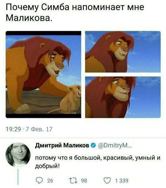 Почему Симба напоминает мне Маликова. 19:29 7 Фев. 17 Дмитрий Маликов 63 потому что я большой, красивый, умный и добрый! 26 98 1339