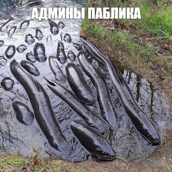 1 ИНЫ ПАБЛИКА 2,