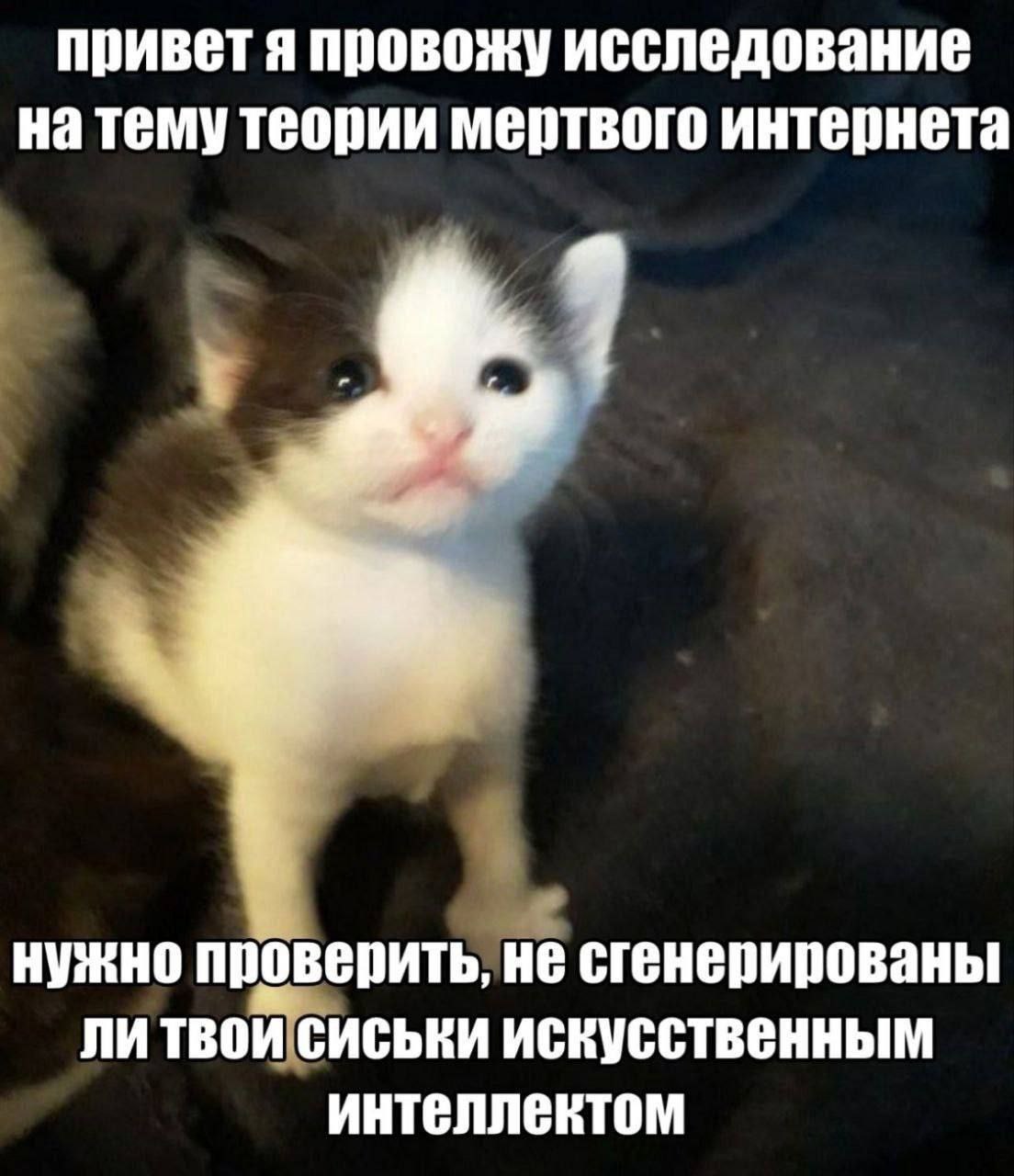 Сиси кидаем в комменты👇