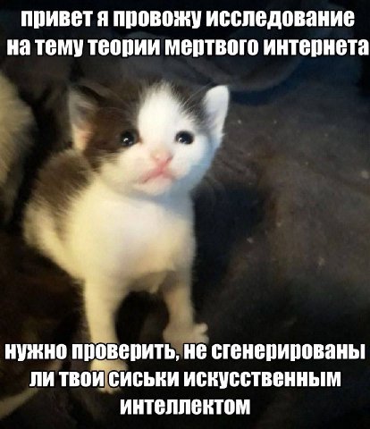 Сиси кидаем в комменты👇