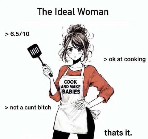 The Ideal Woman 6.5/10 А\ cooking AND MAKE BABIES >notacuntbitch thats it.
