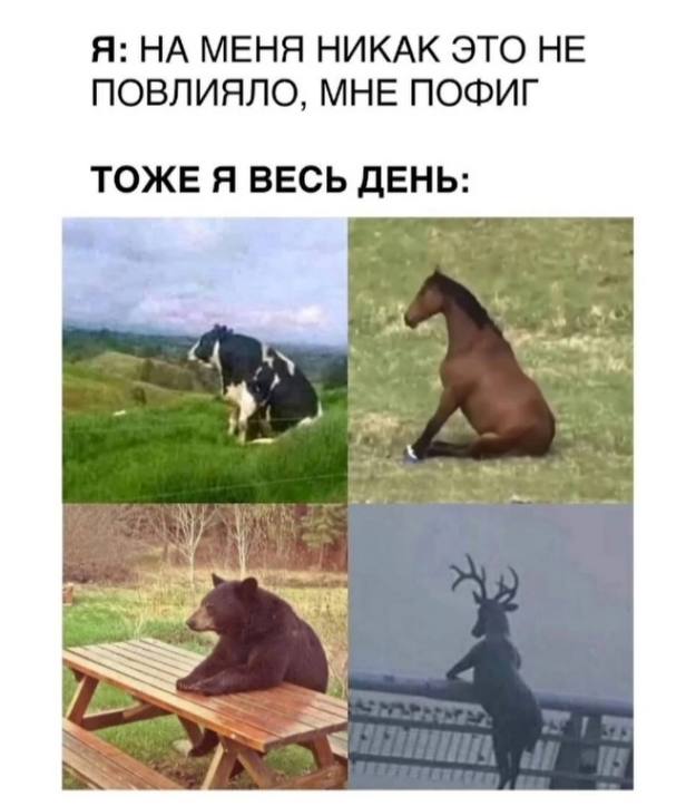 Я: НА МЕНЯ НИКАК ЭТО НЕ ПОВЛИЯЛО, МНЕ ПОФИГ ТОЖЕ Я ВЕСЬ ДЕНЬ: А 5